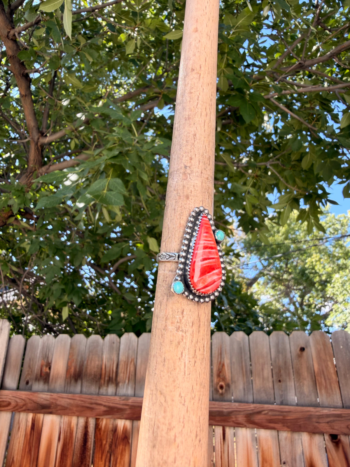 S8.75 Spiny & Turquoise Ring