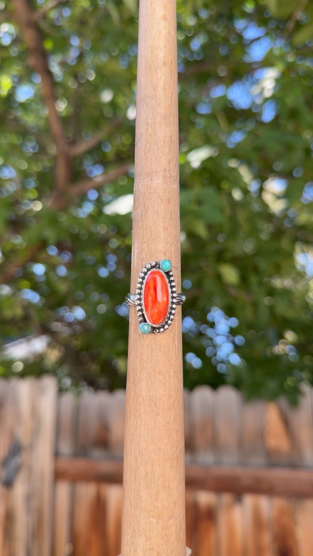 S9.75 Spiny & Turquoise Ring