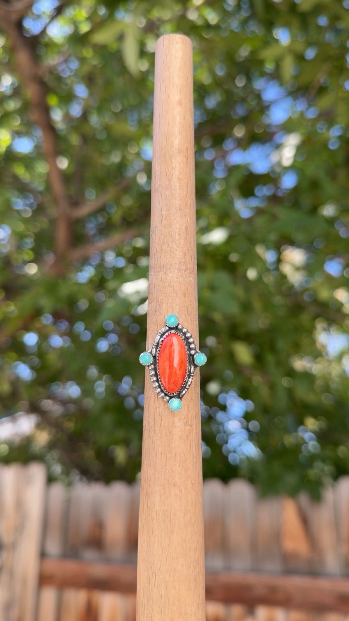 S8.5 Spiny & Turquoise Ring
