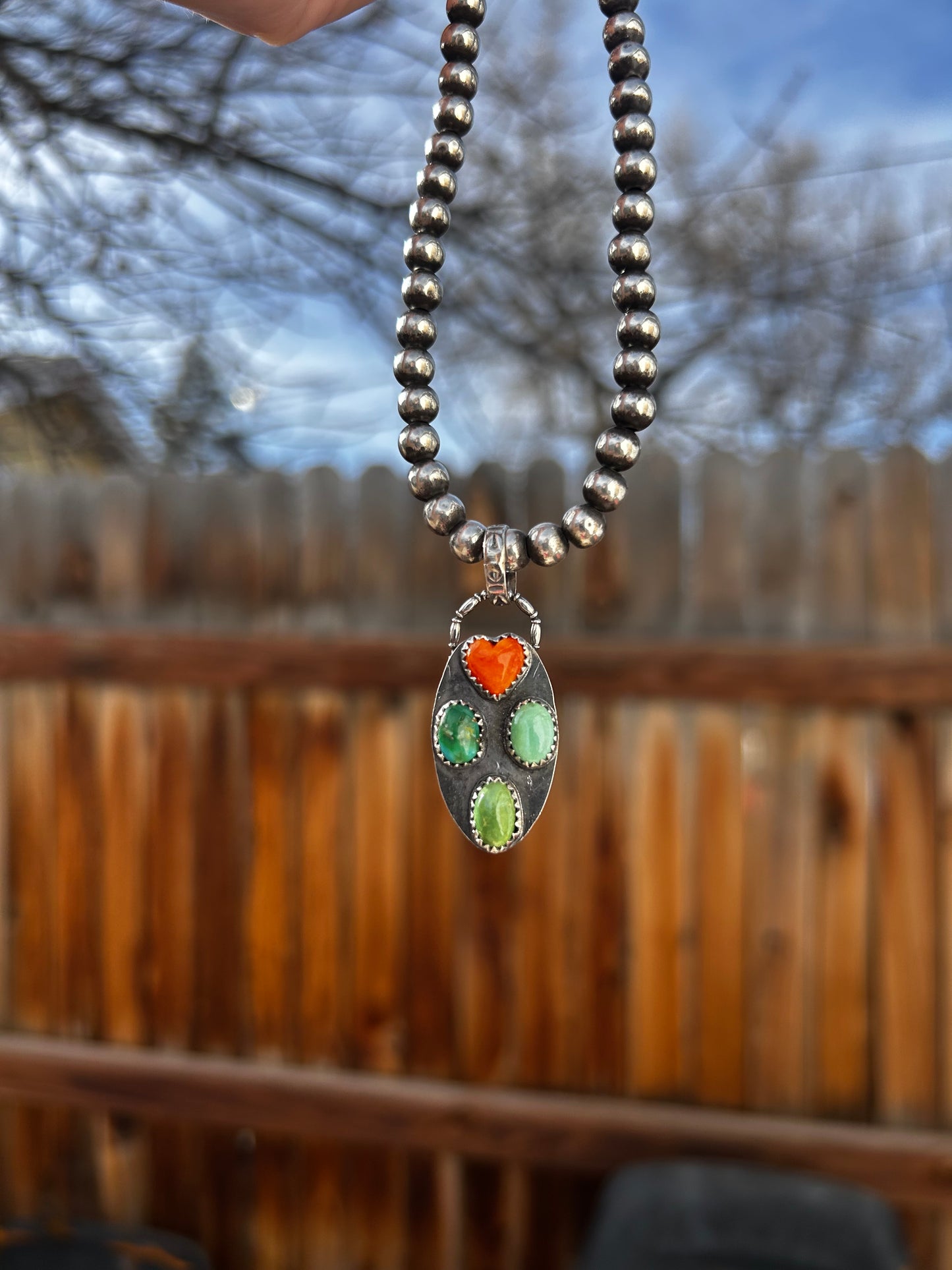 Spiny and Sonoran Pendant