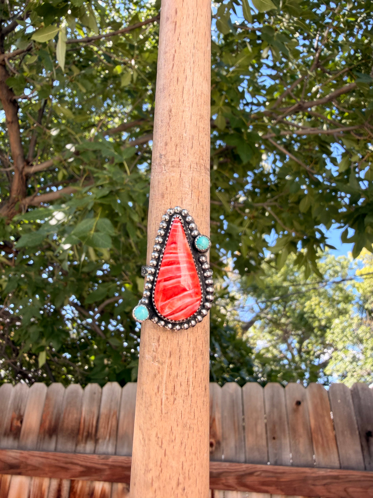 S8.75 Spiny & Turquoise Ring