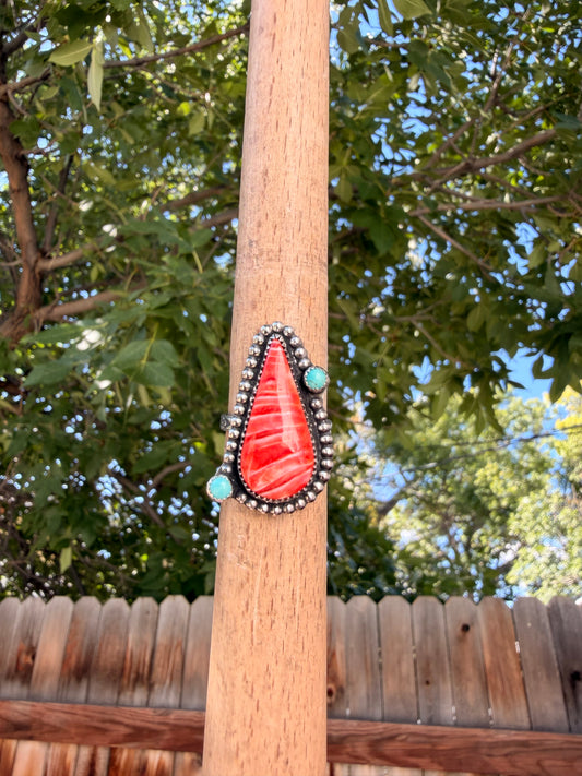 S8.75 Spiny & Turquoise Ring